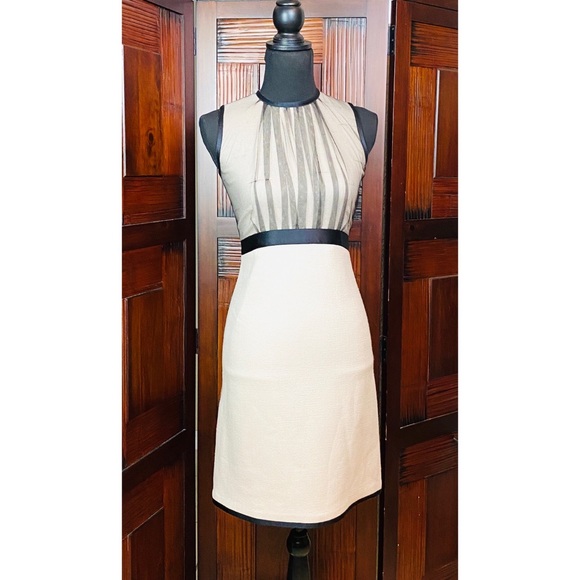 Lida Baday Dresses & Skirts - Lida Baday 100% Silk Sheath Dress